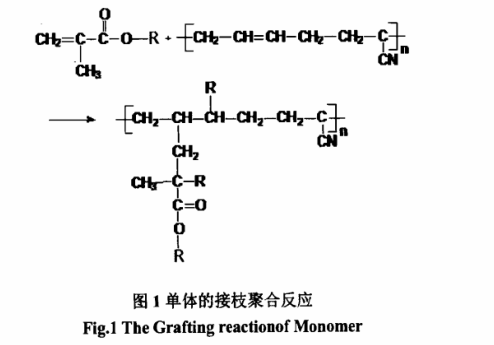 單體的接枝聚合反應